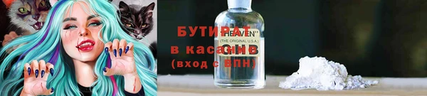 шишки Белокуриха